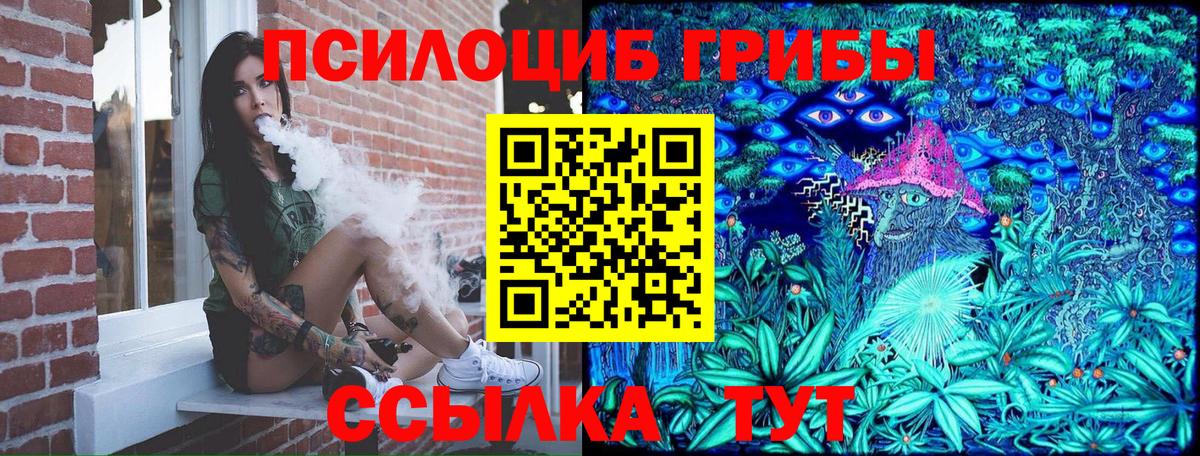 Псилоцибиновые грибы Psilocybine cubensis Воткинск