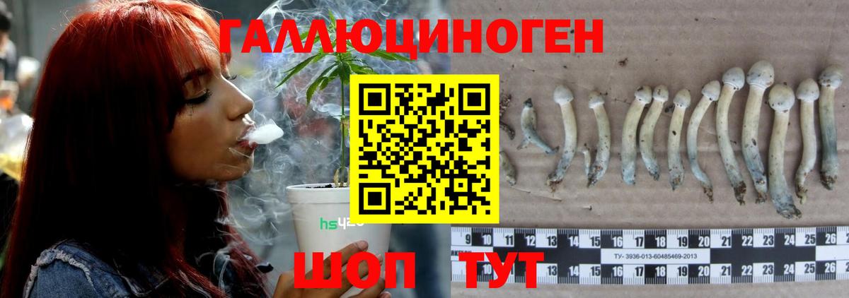 Воткинск  Псилоцибиновые грибы Magic Shrooms  Вход с VPN 